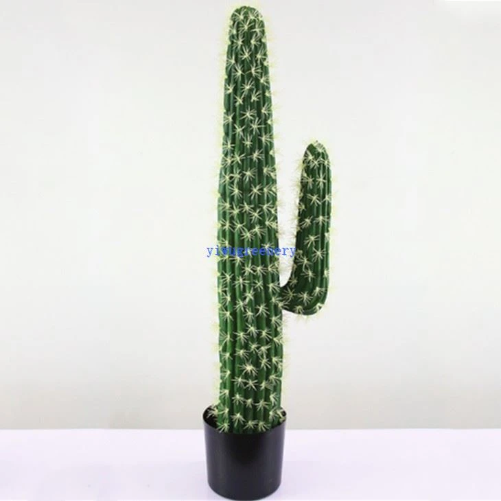 artificial potted cactus