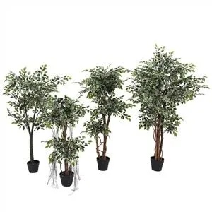 Pokok Daun Beringin Tepi Putih Tiruan