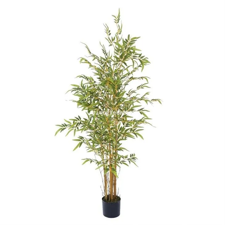 silk bamboo plant