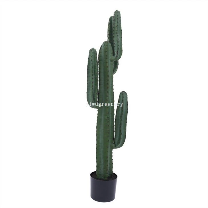 artificial cactus plants in pots