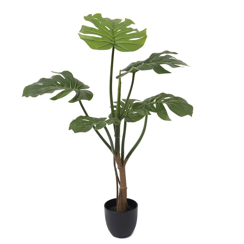 Di manakah pokok monstera simulasi digunakan